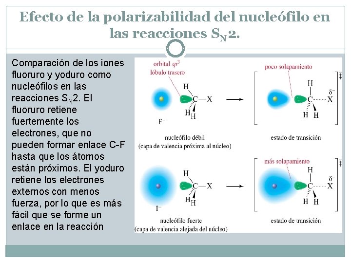 Efecto de la polarizabilidad del nucleófilo en las reacciones SN 2. Comparación de los