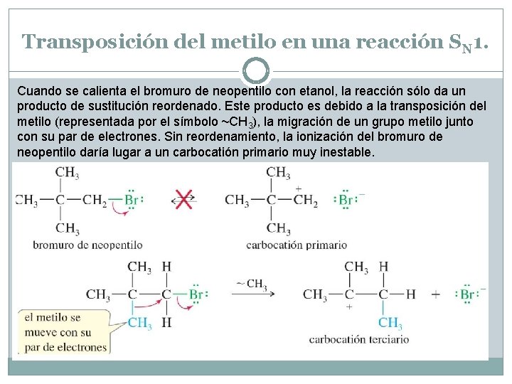 Transposición del metilo en una reacción SN 1. Cuando se calienta el bromuro de