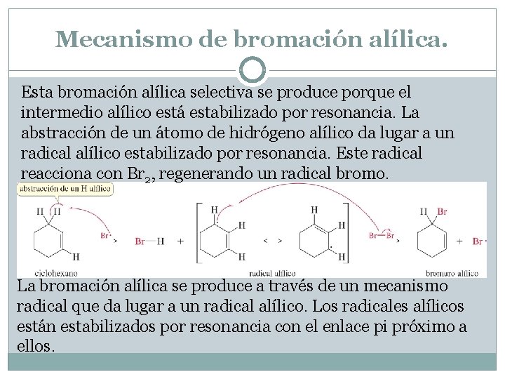 Mecanismo de bromación alílica. Esta bromación alílica selectiva se produce porque el intermedio alílico