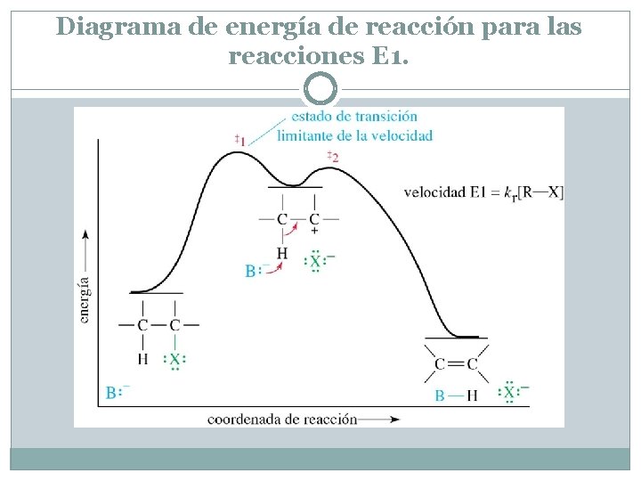 Diagrama de energía de reacción para las reacciones E 1. 