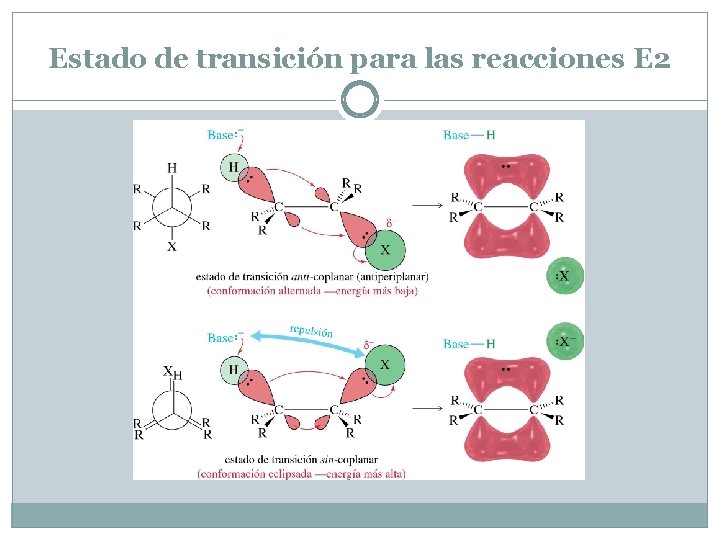 Estado de transición para las reacciones E 2 