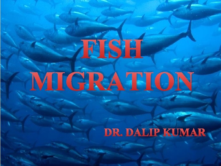 FISH MIGRATION DR. DALIP KUMAR 