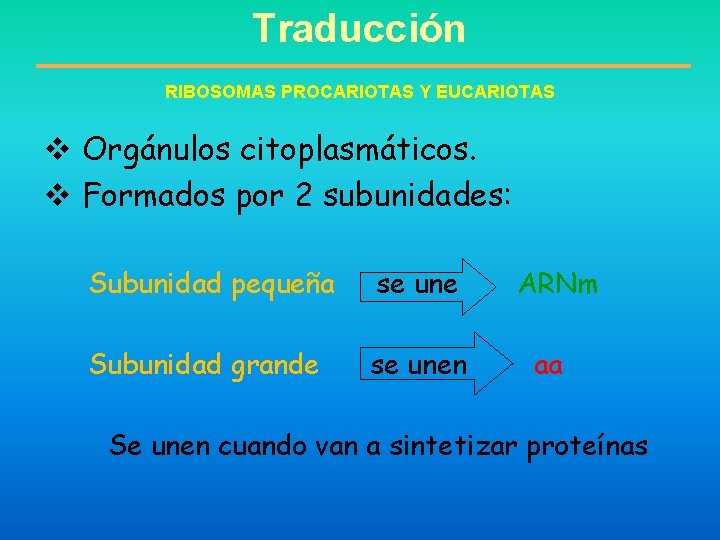 Traducción RIBOSOMAS PROCARIOTAS Y EUCARIOTAS v Orgánulos citoplasmáticos. v Formados por 2 subunidades: Subunidad