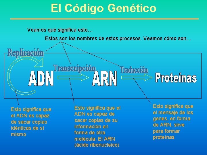 El Código Genético Veamos qué significa esto… Estos son los nombres de estos procesos.