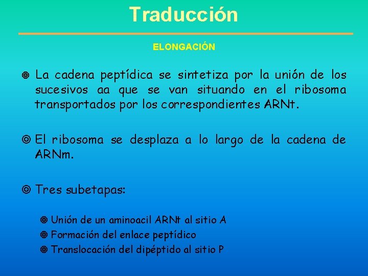 Traducción ELONGACIÓN La cadena peptídica se sintetiza por la unión de los sucesivos aa