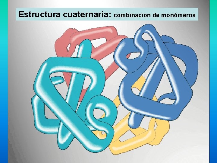 Estructura cuaternaria: combinación de monómeros 