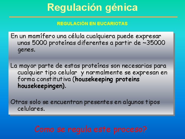 Regulación génica REGULACIÓN EN EUCARIOTAS En un mamífero una célula cualquiera puede expresar unas