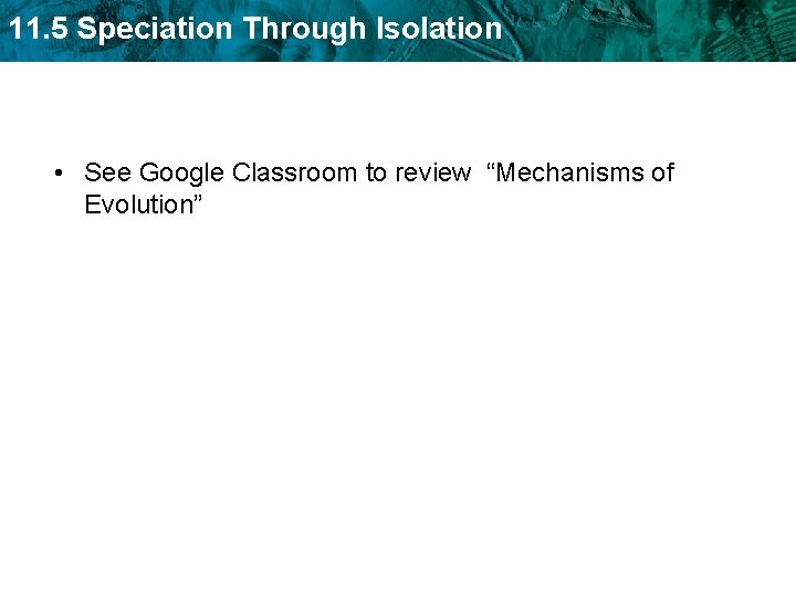 11. 5 Speciation Through Isolation • See Google Classroom to review “Mechanisms of Evolution”