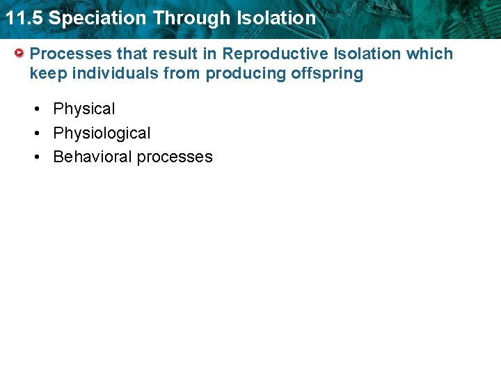 11. 5 Speciation Through Isolation Processes that result in Reproductive Isolation which keep individuals