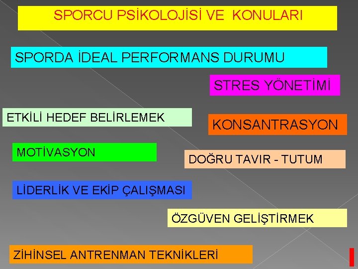 SPORCU PSİKOLOJİSİ VE KONULARI SPORDA İDEAL PERFORMANS DURUMU STRES YÖNETİMİ ETKİLİ HEDEF BELİRLEMEK KONSANTRASYON