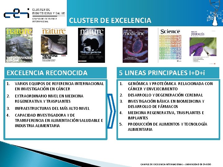 CLUSTER DE EXCELENCIA RECONOCIDA 5 LINEAS PRINCIPALES I+D+i 1. VARIOS EQUIPOS DE REFERENCIA INTERNACIONAL CLUSTER DE EXCELENCIA RECONOCIDA 5 LINEAS PRINCIPALES I+D+i 1. VARIOS EQUIPOS DE REFERENCIA INTERNACIONAL