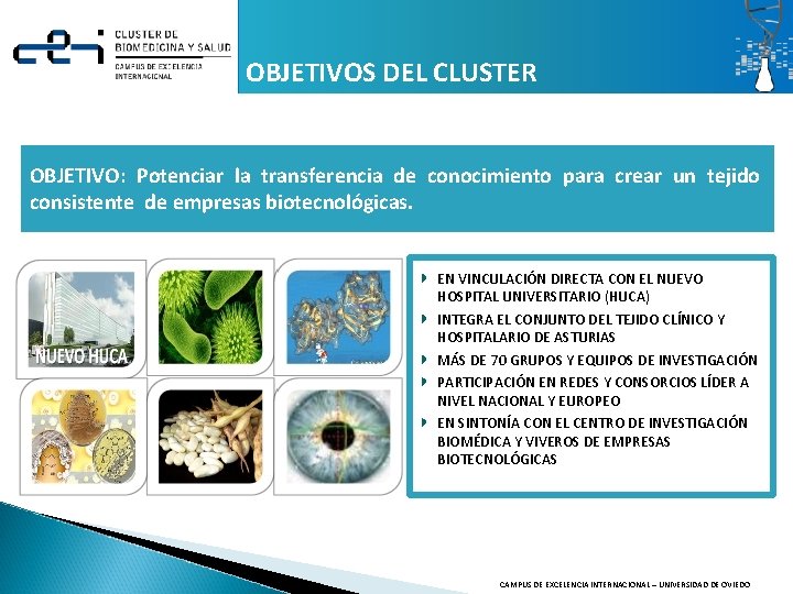 OBJETIVOS DEL CLUSTER OBJETIVO: Potenciar la transferencia de conocimiento para crear un tejido consistente OBJETIVOS DEL CLUSTER OBJETIVO: Potenciar la transferencia de conocimiento para crear un tejido consistente