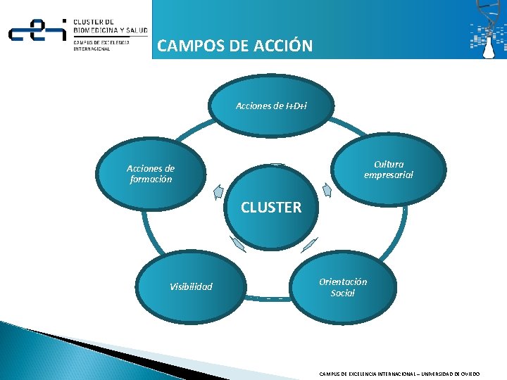 CAMPOS DE ACCIÓN Acciones de I+D+i Cultura empresarial Acciones de formación CLUSTER Visibilidad Orientación CAMPOS DE ACCIÓN Acciones de I+D+i Cultura empresarial Acciones de formación CLUSTER Visibilidad Orientación