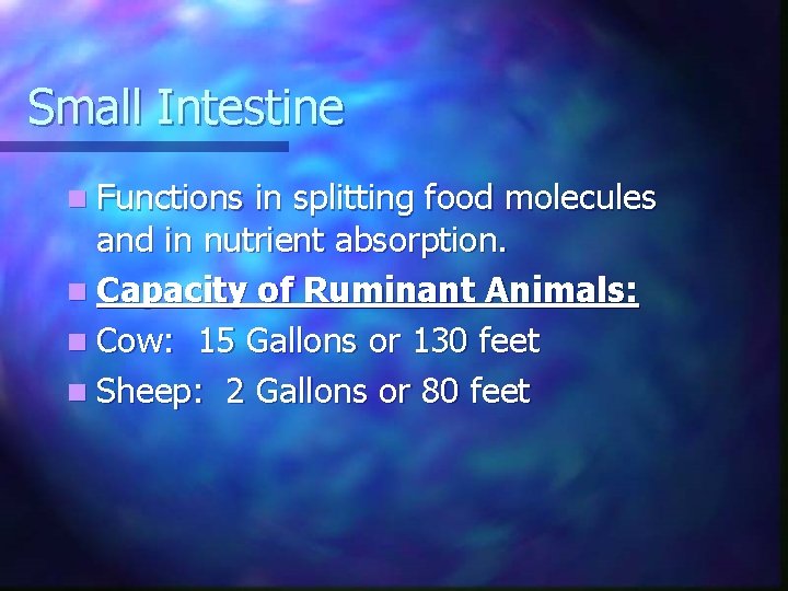 Small Intestine n Functions in splitting food molecules and in nutrient absorption. n Capacity