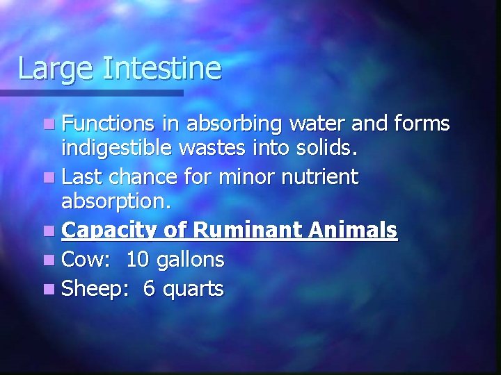 Large Intestine n Functions in absorbing water and forms indigestible wastes into solids. n