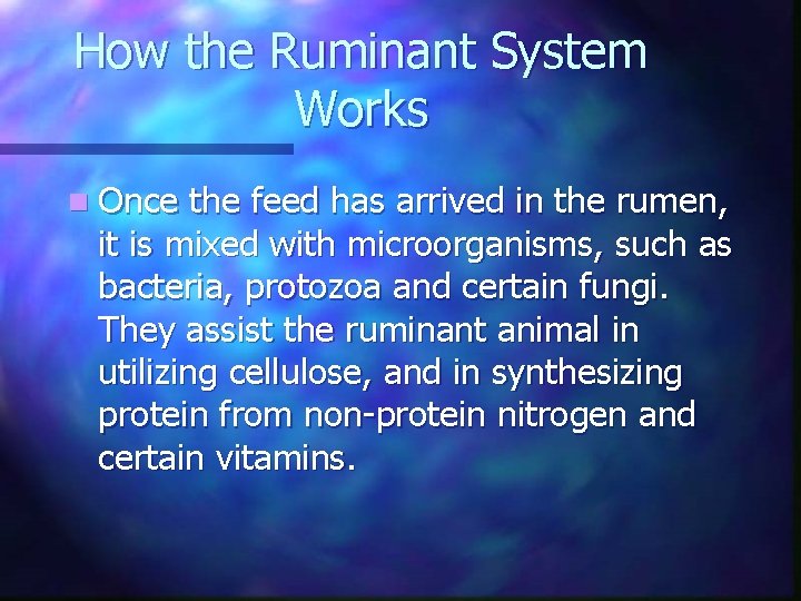 How the Ruminant System Works n Once the feed has arrived in the rumen,