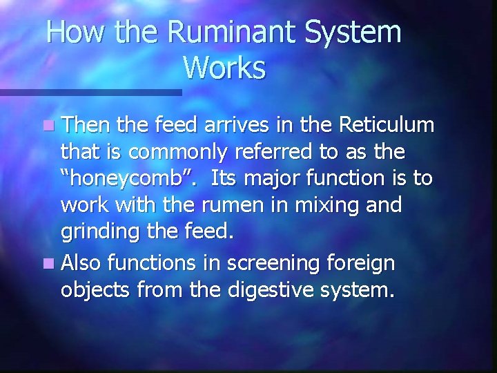 How the Ruminant System Works n Then the feed arrives in the Reticulum that