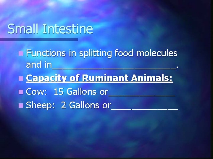 Small Intestine n Functions in splitting food molecules and in____________. n Capacity of Ruminant