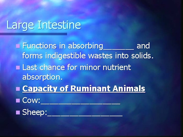 Large Intestine n Functions in absorbing_______ and forms indigestible wastes into solids. n Last