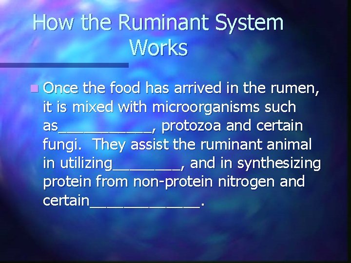 How the Ruminant System Works n Once the food has arrived in the rumen,