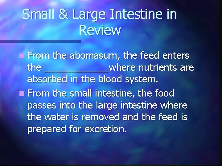 Small & Large Intestine in Review n From the abomasum, the feed enters the