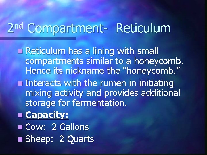 2 nd Compartment- Reticulum n Reticulum has a lining with small compartments similar to