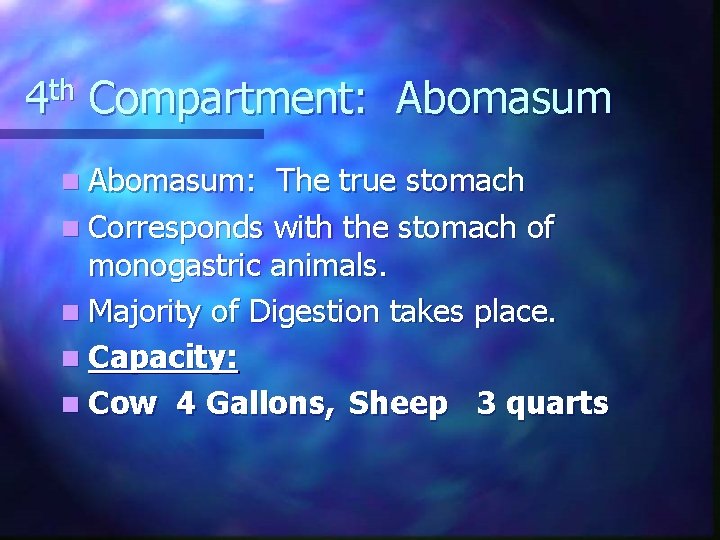 4 th Compartment: Abomasum n Abomasum: The true stomach n Corresponds with the stomach