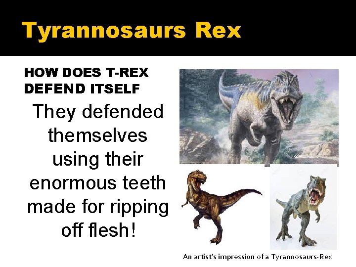 Tyrannosaurs Rex HOW DOES T-REX DEFEND ITSELF They defended themselves using their enormous teeth