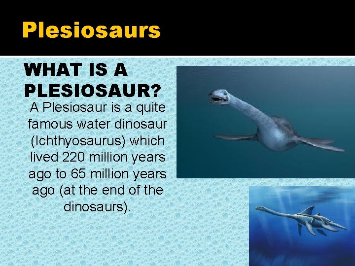 Plesiosaurs WHAT IS A PLESIOSAUR? A Plesiosaur is a quite famous water dinosaur (Ichthyosaurus)