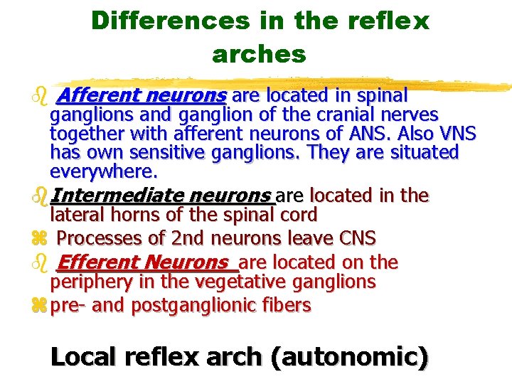 Differences in the reflex arches b Afferent neurons are located in spinal ganglions and