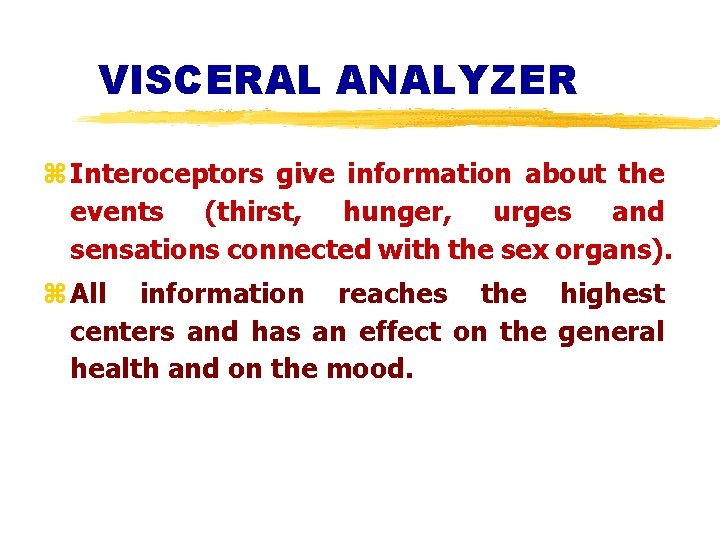 VISCERAL ANALYZER z Interoceptors give information about the events (thirst, hunger, urges and sensations