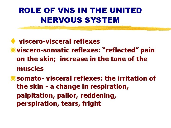 ROLE OF VNS IN THE UNITED NERVOUS SYSTEM t viscero-visceral reflexes z viscero-somatic reflexes: