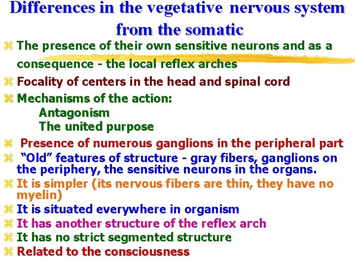 Differences in the vegetative nervous system from the somatic z The presence of their