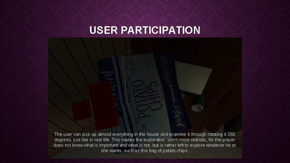 USER PARTICIPATION The user can pick up almost everything in the house and examine USER PARTICIPATION The user can pick up almost everything in the house and examine
