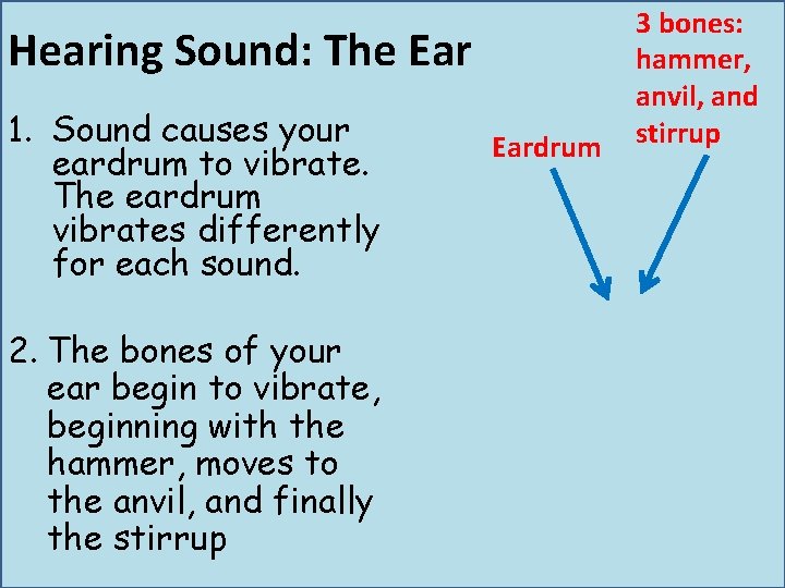Hearing Sound: The Ear 1. Sound causes your eardrum to vibrate. The eardrum vibrates Hearing Sound: The Ear 1. Sound causes your eardrum to vibrate. The eardrum vibrates