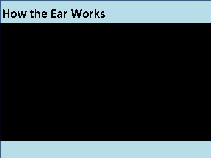 How the Ear Works How the Ear Works