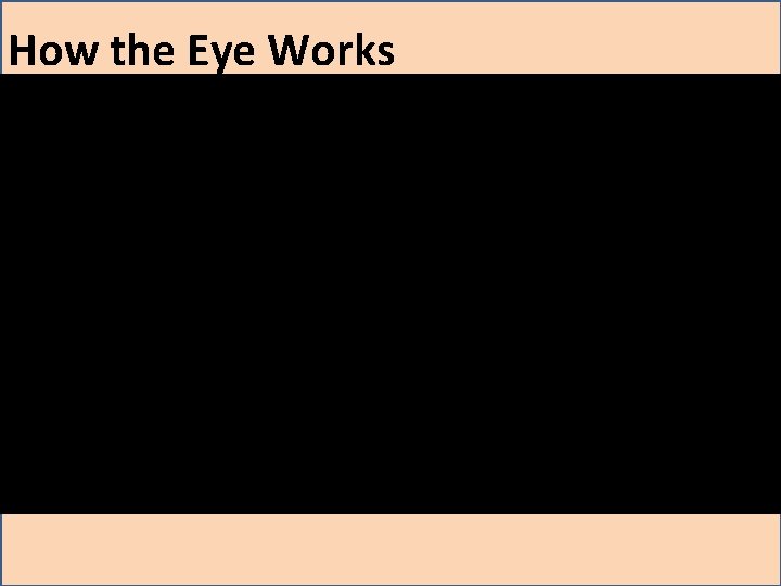 How the Eye Works How the Eye Works