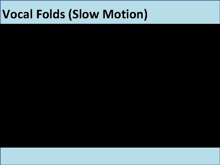Vocal Folds (Slow Motion) Vocal Folds (Slow Motion)