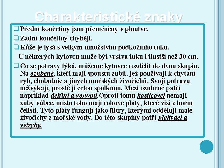 Charakteristické znaky q Přední končetiny jsou přeměněny v ploutve. q Zadní končetiny chybějí. q