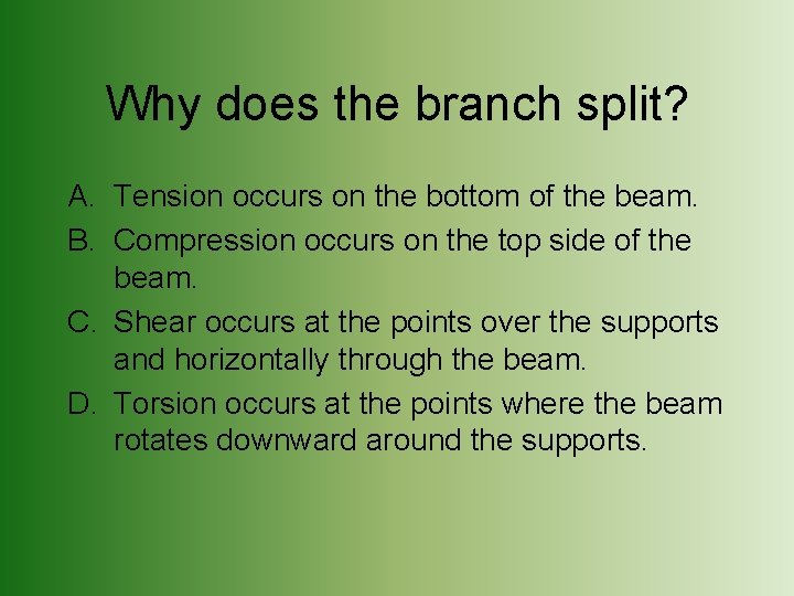 Why does the branch split? A. Tension occurs on the bottom of the beam.