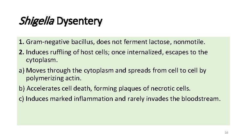 Shigella Dysentery 1. Gram-negative bacillus, does not ferment lactose, nonmotile. 2. Induces ruffling of