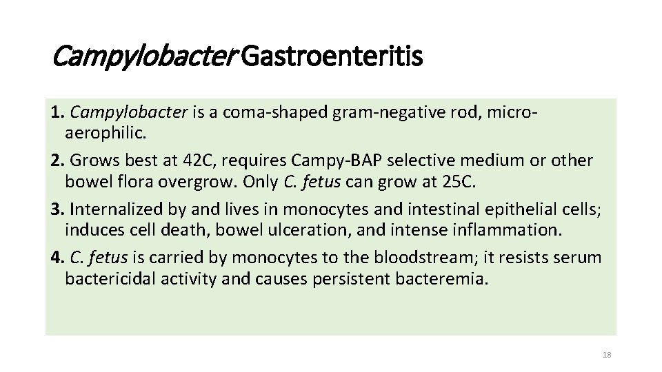 Campylobacter Gastroenteritis 1. Campylobacter is a coma-shaped gram-negative rod, microaerophilic. 2. Grows best at