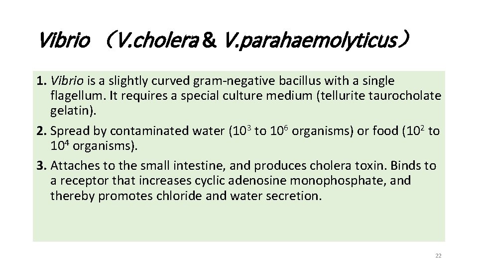 Vibrio （V. cholera & V. parahaemolyticus） 1. Vibrio is a slightly curved gram-negative bacillus