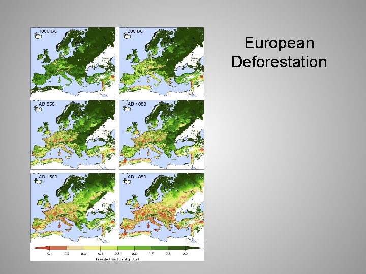 European Deforestation 