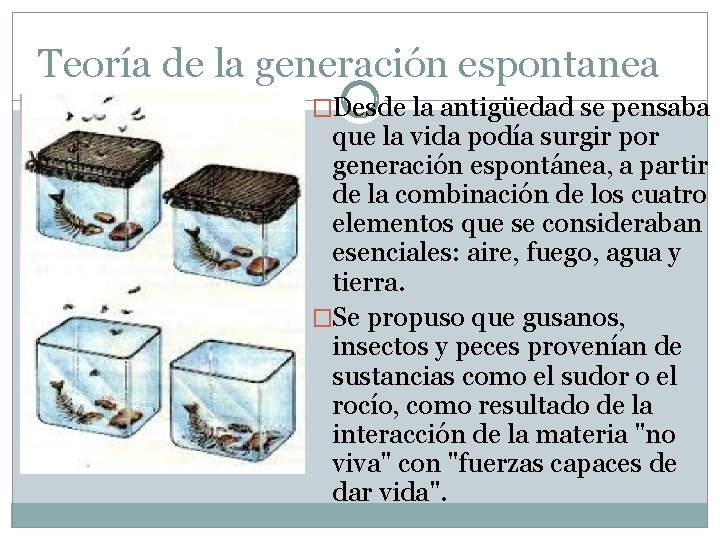 Teoría de la generación espontanea �Desde la antigüedad se pensaba que la vida podía