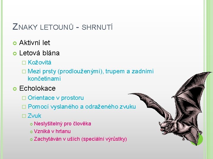 ZNAKY LETOUNŮ - SHRNUTÍ Aktivní let Letová blána � Kožovitá � Mezi prsty (prodlouženými),