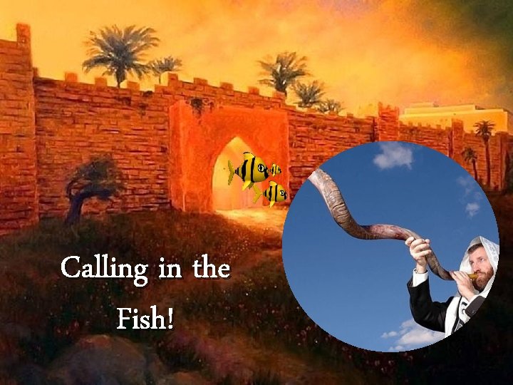 Calling in the Fish! 