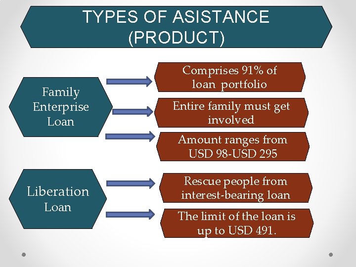 TYPES OF ASISTANCE (PRODUCT) Family Enterprise Loan Comprises 91% of loan portfolio Entire family