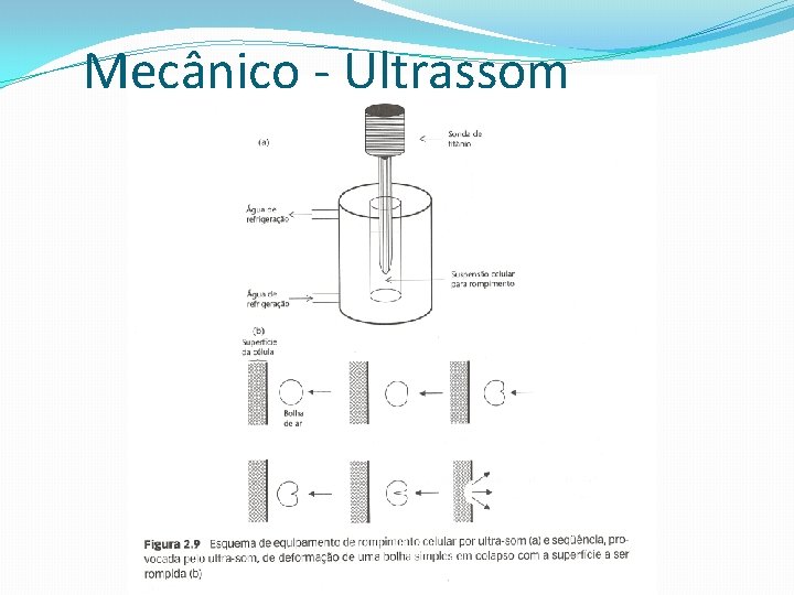 Mecânico - Ultrassom 