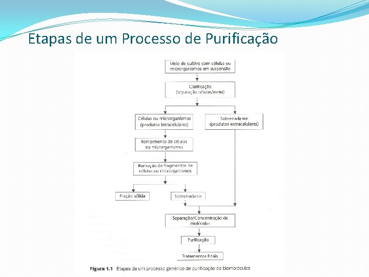 Etapas de um Processo de Purificação 